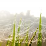 Top Tips: Networking