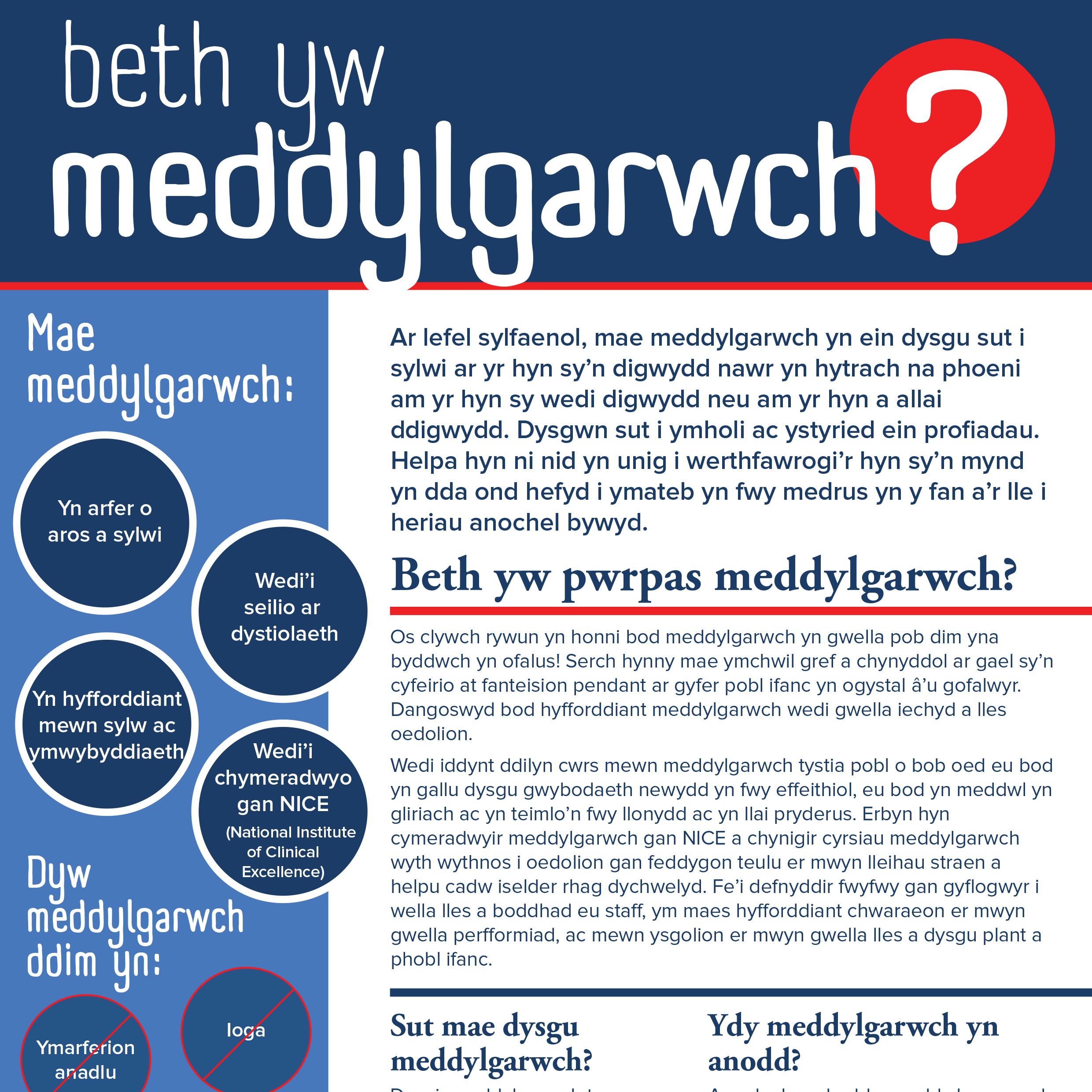 What Is Mindfulness Leaflet (Welsh)