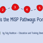 What is the MiSP Pathways Portfolio?
