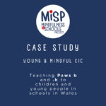 Case Study: Young & Mindful CIC, Wales