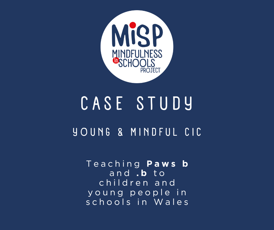 Case Study: Young & Mindful CIC, Wales